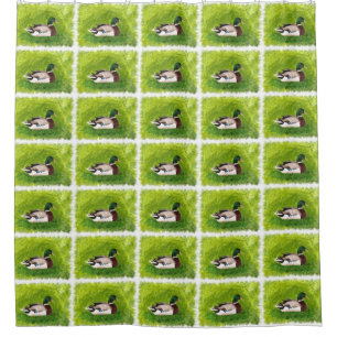 Mallard Duck Peinture rideaux de douche