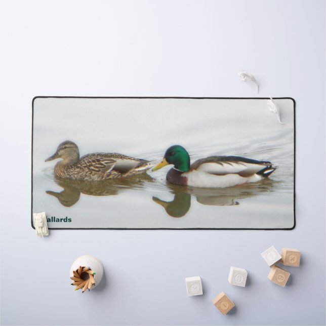 Mallard Ducks (Tableau pour enfants)
