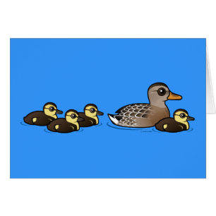 Mallard et quatre canetons