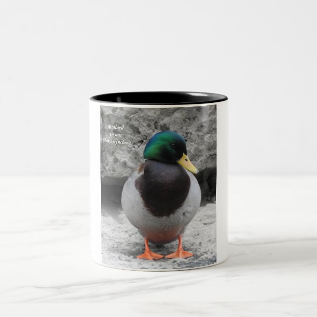 Mallard Mug  (Centre)