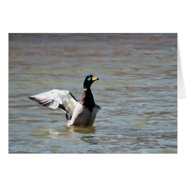 Mallard simple du lac de l'Ours (Devant horizontal)