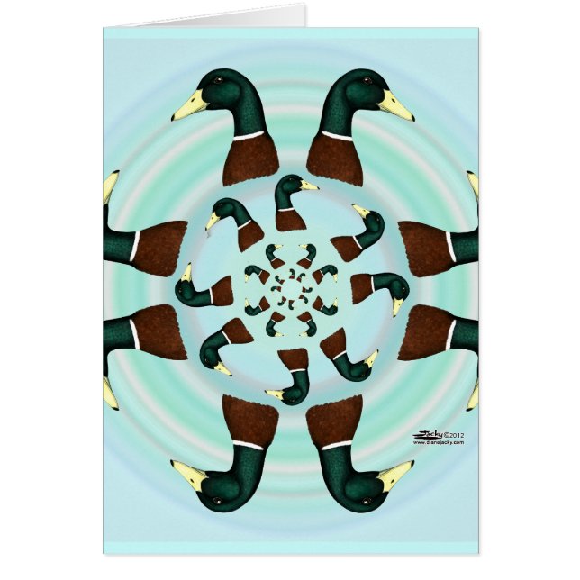 Mallards Galore ! (Devant)