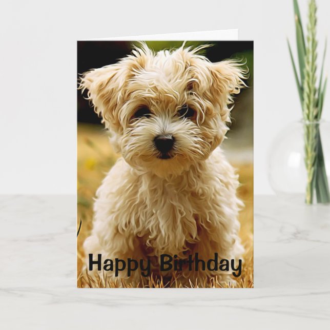 Maltese Chiot Bonne Carte de voeux d'anniversaire (Devant)