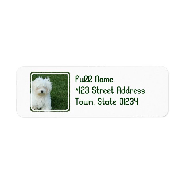 Maltese Dog Retourner l'adresse Étiquette (Devant)