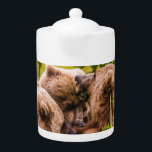 Mama bear nourrit ses deux petits, Lake Clark Nati<br><div class="desc">Les ours sont des animaux intelligents et, dans le parc national du lac Clark, ils ont appris à profiter de la présence humaine. Les mères avec des oursons sont particulièrement conscientes du danger que représentent les ours mâles pour leur progéniture. Près d'un ourson sur trois est tué par les mâles...</div>