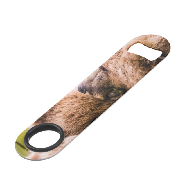 Mama bear nourrit ses deux petits, Lake Clark Nati (Devant angulaire)