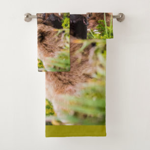 Mama bear nourrit ses deux petits, Lake Clark Nati