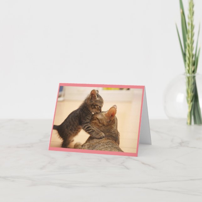 Mama Chat Avec Carte De Voeux Kitten (Devant)