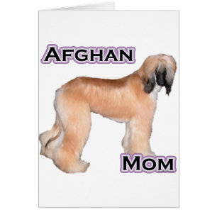 Maman afghane 4