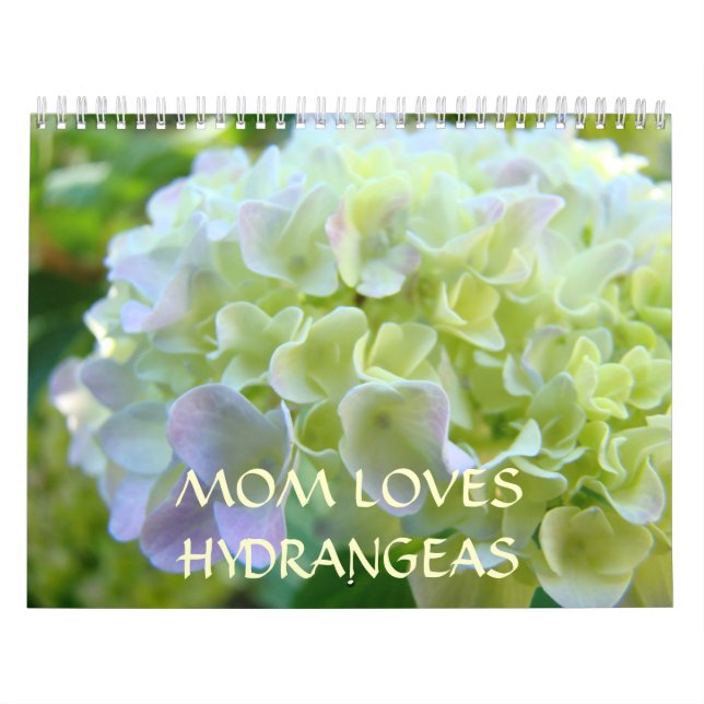 MAMAN AIME LES HORTENSIAS Calendriers Nouvel An (Protection)