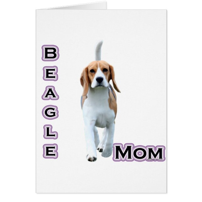 Maman beagle 4 (Devant)