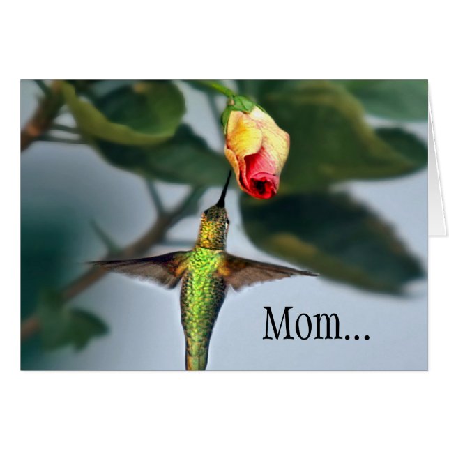 Maman Colibri (Devant horizontal)