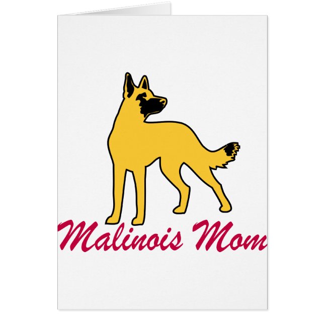 Maman de Malinois de Belge (Devant)