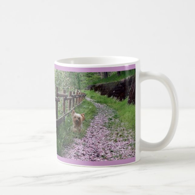 Maman de tasse de Yorkshire Terrier (Droite)
