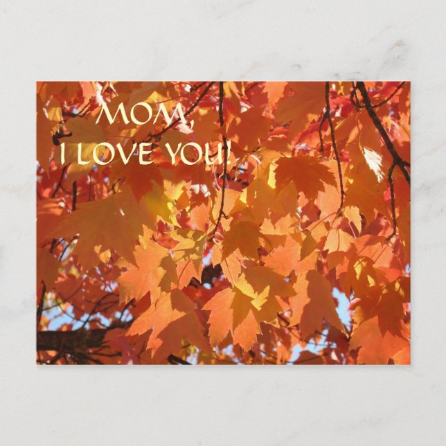 MAMAN JE T'AIME ! Carte postale Feuilles d'automne (Devant)