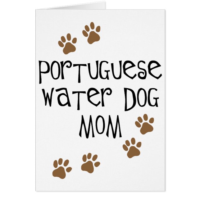 Maman portugaise de chien d'eau (Devant)