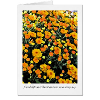 Mamans (no. 0732)