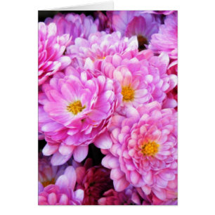 "Mamans roses et jolies "