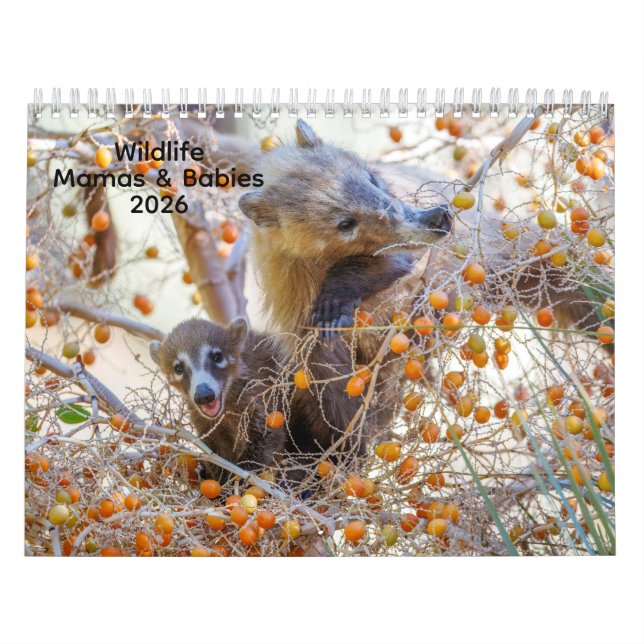 Mamas & Little Ones : Un calendrier faunique 2026 (Protection)