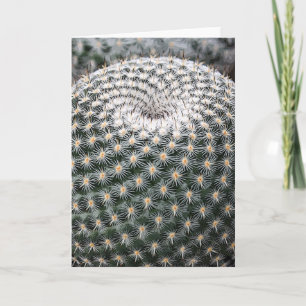 Mammillaria elegans carte pour notes
