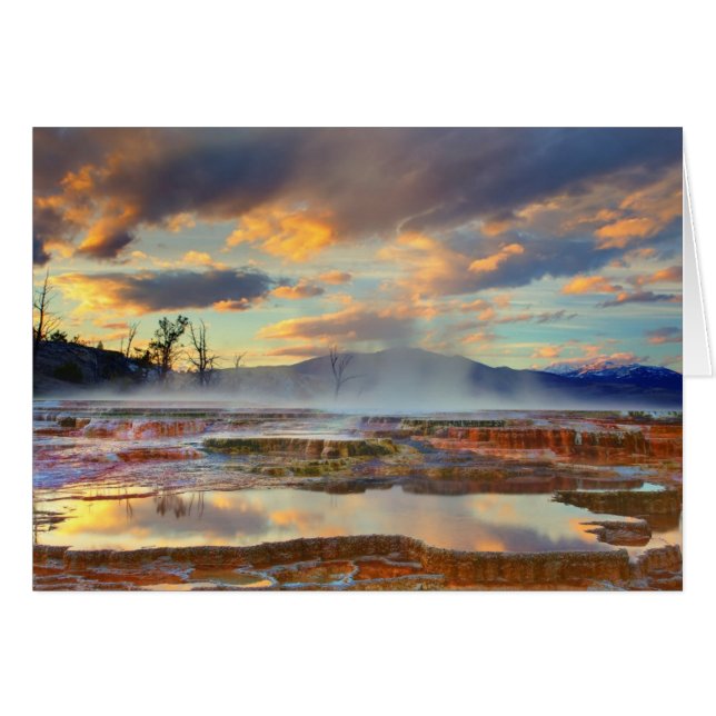 Mammoth Hot Springs (Devant horizontal)