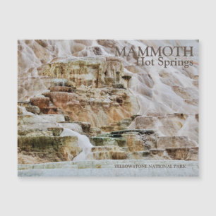 Mammoth Hot Springs Parc national de Yellowstone