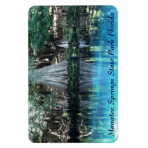 Manatee Springs Fl Flexi Magnet