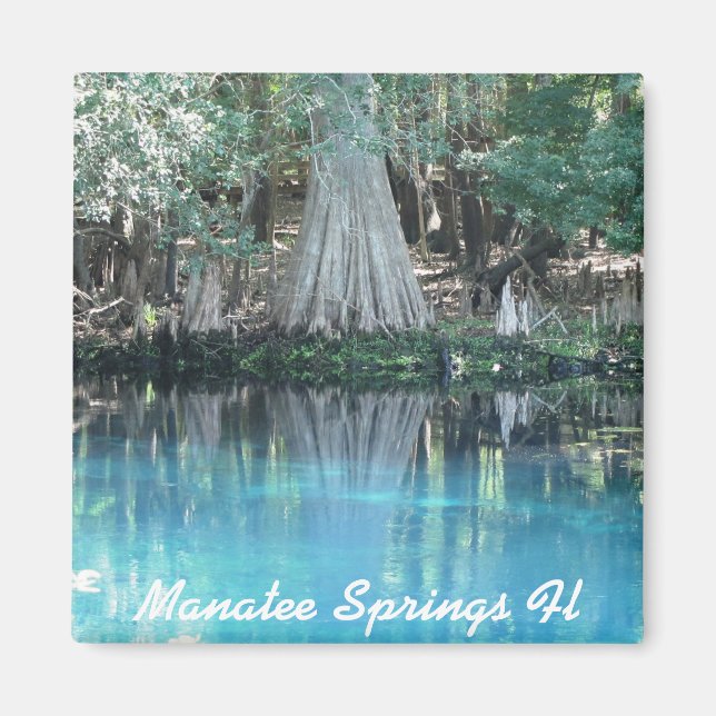 Manatee Springs Fl Magnet (Devant)
