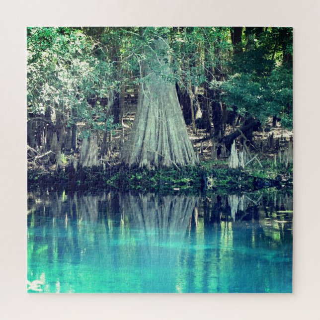 Manatee Springs Florida Puzzle (Vertical)