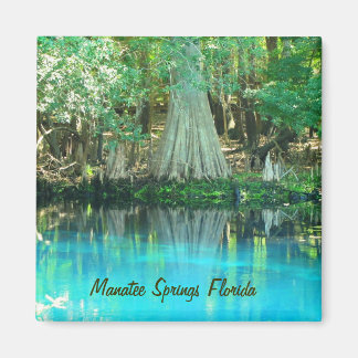Manatee Springs Magnet