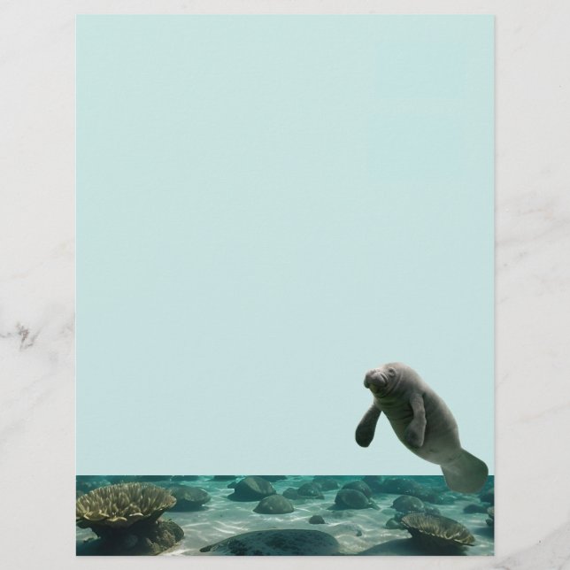 Manatee Stationnaire (Devant)