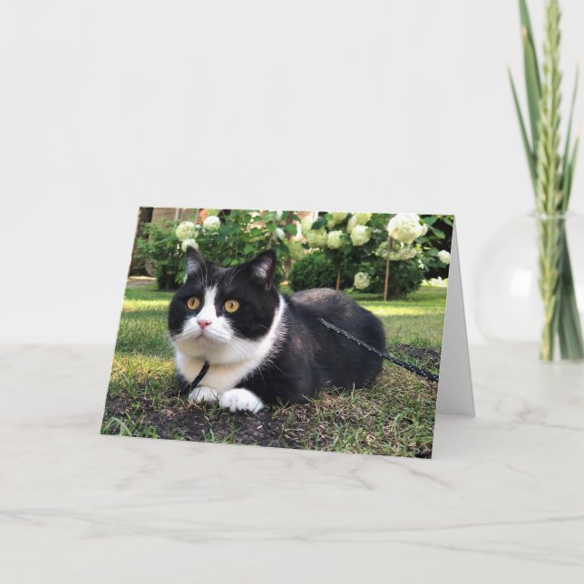 Manchester carte nature (Devant)