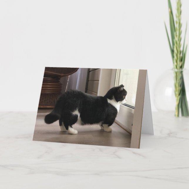 Manchester manque de carte (Devant)