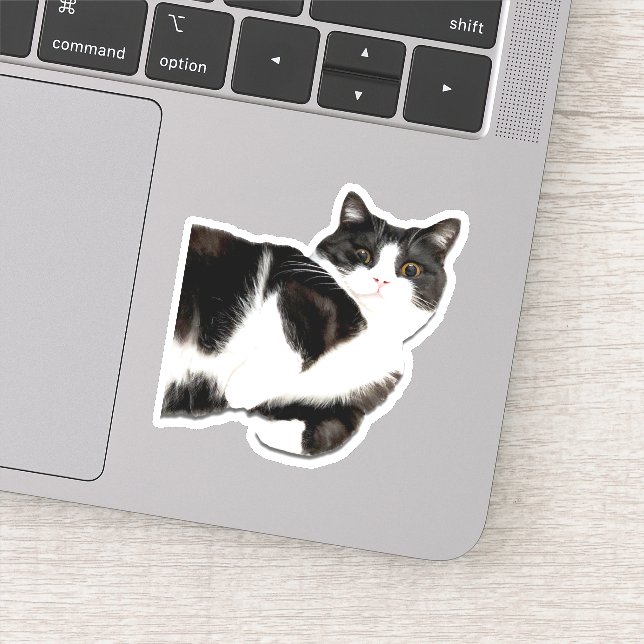 Manchester "Salut !" Autocollant (Détail)