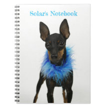 Manchester Terrier Carnet bleu