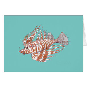 Manchu de poissons