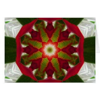 Mandala à fleurs tropicales