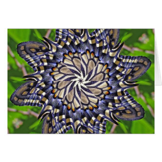 Mandala de papillon de machaon - carte