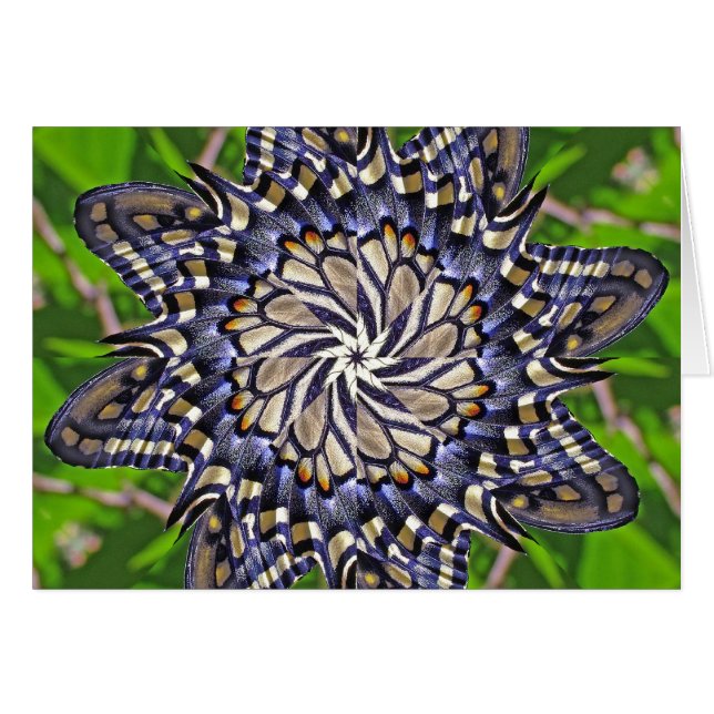 Mandala de papillon de machaon - carte (Devant horizontal)