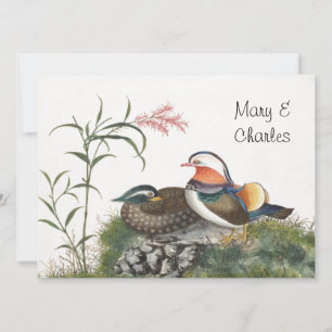 Mandarin Canard peinture chinoise