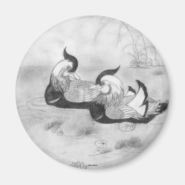 Mandarin Canards Magnet (Devant)