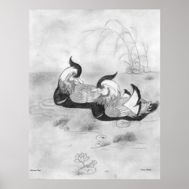 Mandarin Ducks Poster (Devant)