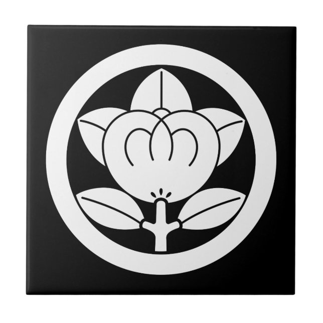 Mandarin orange dans un cercle carreaux en céramiq (Devant)