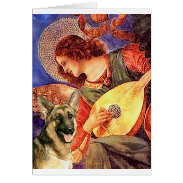 Mandolin Angel - Berger allemand 2 (Devant)