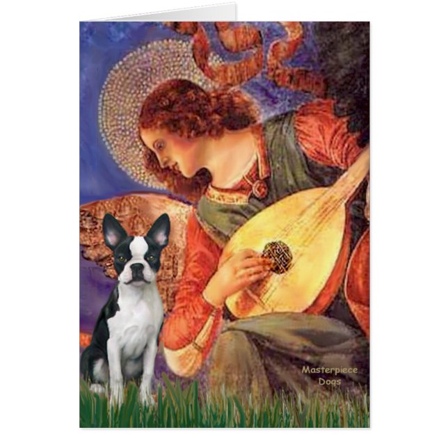 Mandolin Angel - Boston Terrier #1 (Devant)
