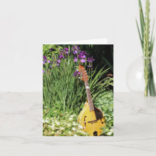 Mandoline et jardin de fleurs d'iris 