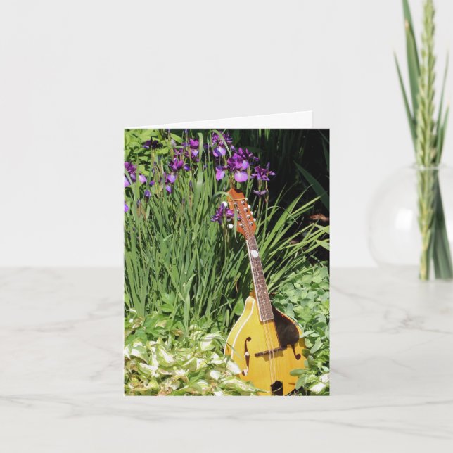 Mandoline et jardin de fleurs d'iris  (Devant)