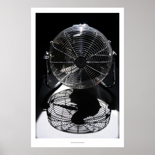 Mandrill Fan BW Still Life Photographie L Poster (Devant)