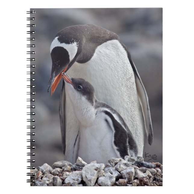 Manette Gentoo et cahier (Devant)