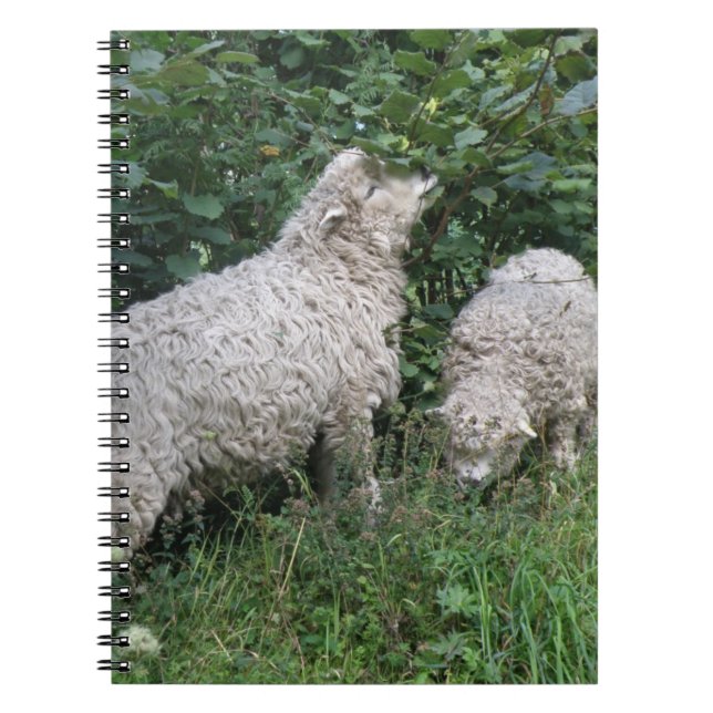 Mange Mange Mange Feuille Carnet (Devant)